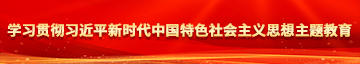 gogo日逼学习贯彻习近平新时代中国特色社会主义思想主题教育